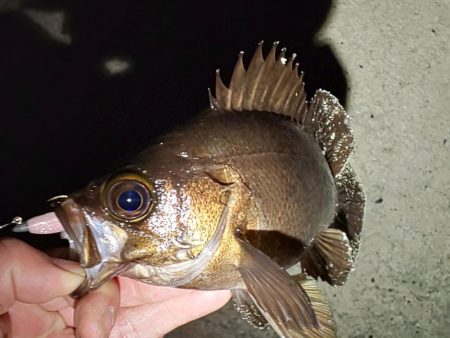 困った時のガルプ頼み