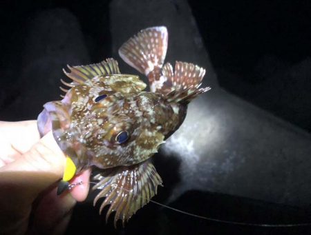 洲本と炬口をランガンするも・・