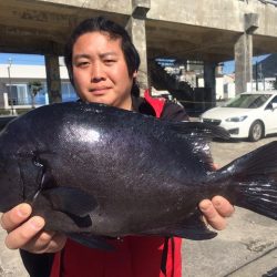 海星丸 釣果