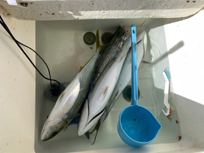 1カ月以上ぶりのマイボート釣行