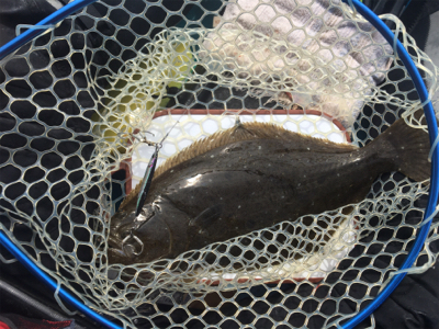 県南でカヤックフィッシング！