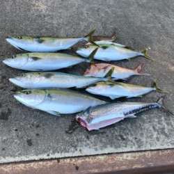 1カ月以上ぶりのマイボート釣行