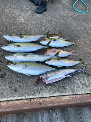 1カ月以上ぶりのマイボート釣行