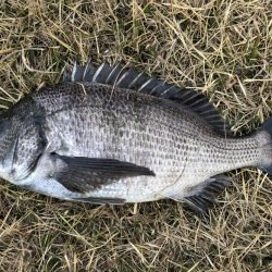 イチノ兄弟、釣果！