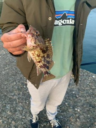 飲ませ釣り！