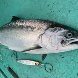 広進丸 釣果