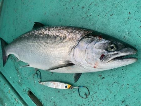 広進丸 釣果