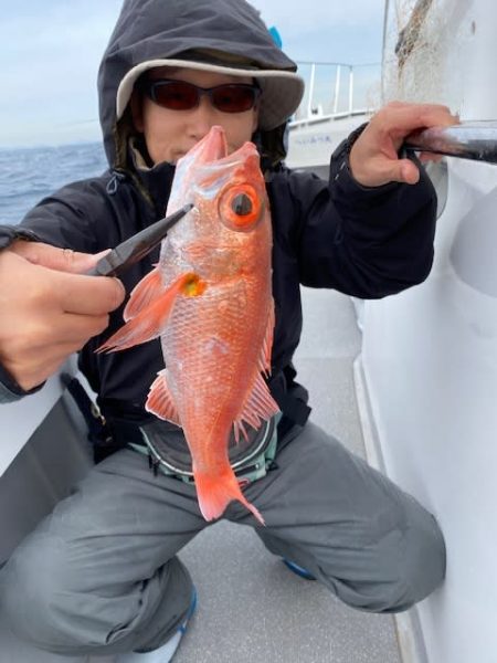 へいみつ丸 釣果