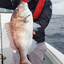 海峰 釣果