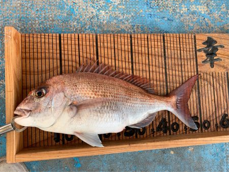 幸吉丸 釣果