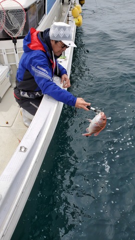 遊漁船　ニライカナイ 釣果