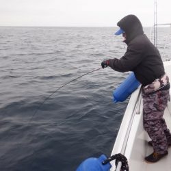 開進丸 釣果