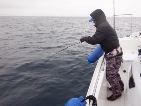 開進丸 釣果