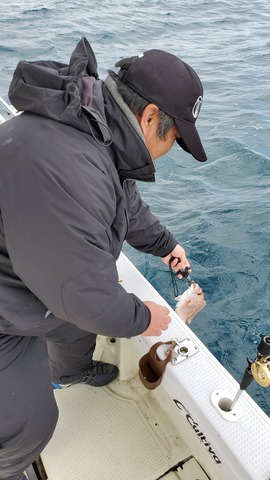 遊漁船　ニライカナイ 釣果