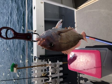 白墨丸 釣果