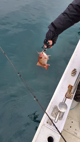 遊漁船　ニライカナイ 釣果