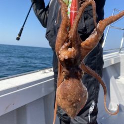 ミタチ丸 釣果