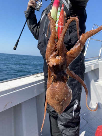 ミタチ丸 釣果