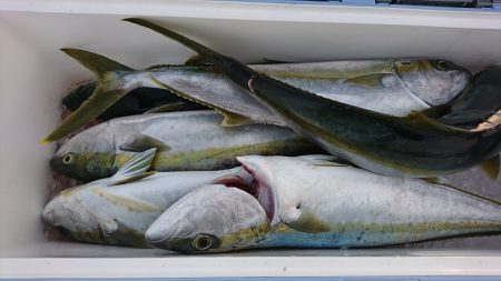 海龍丸（福岡） 釣果