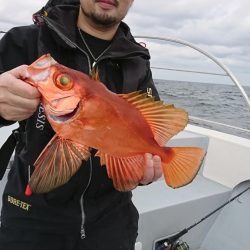 海龍丸（福岡） 釣果