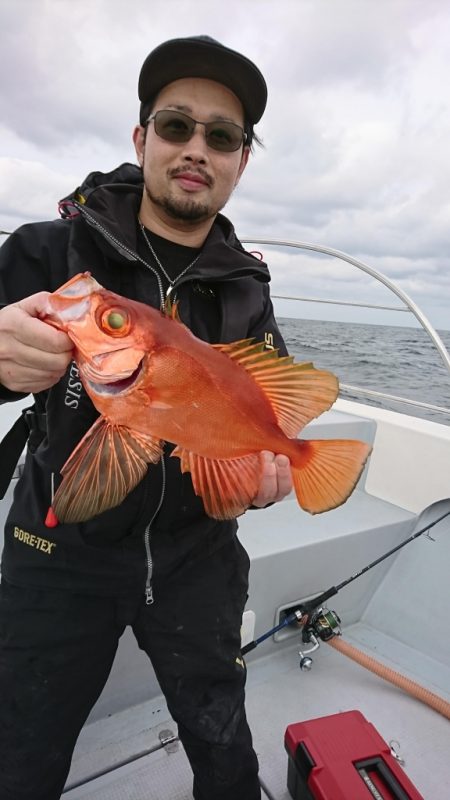 海龍丸（福岡） 釣果