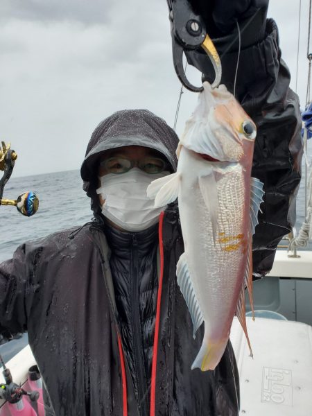 珀宝丸 釣果