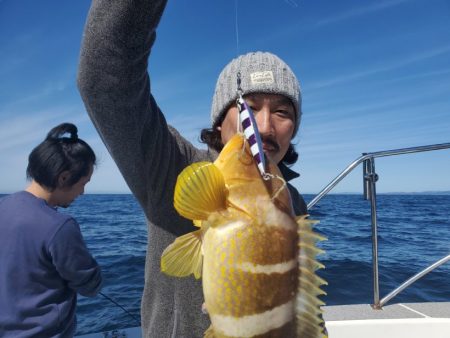 ブルーピア 釣果