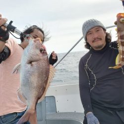 ブルーピア 釣果