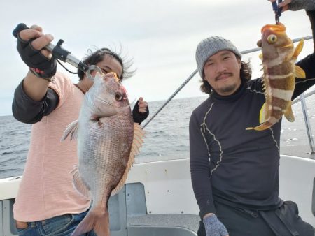 ブルーピア 釣果