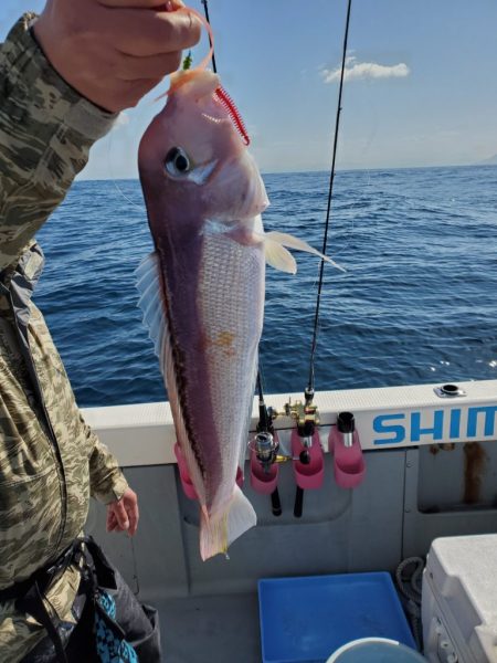 珀宝丸 釣果