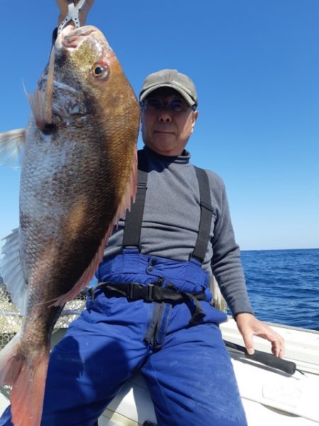 飛燕さくら丸 釣果