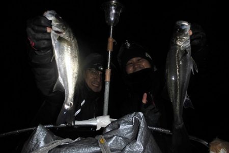 ルアー船マヒマヒ 釣果