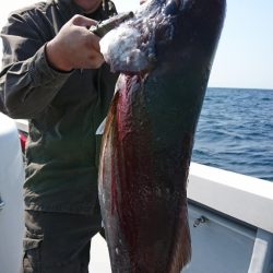 海龍丸（福岡） 釣果