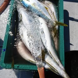 海龍丸（福岡） 釣果