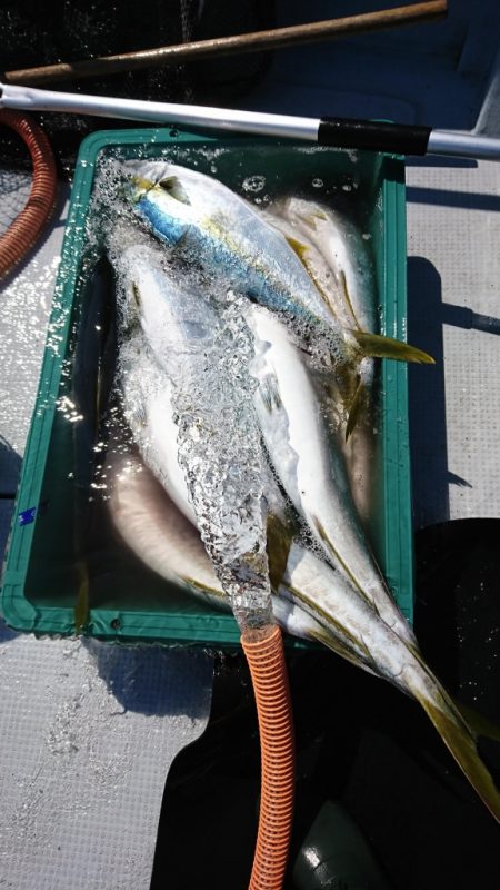 海龍丸（福岡） 釣果