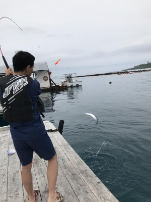 本部釣りイカダ 釣果