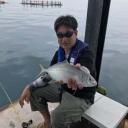 本部釣りイカダ 釣果