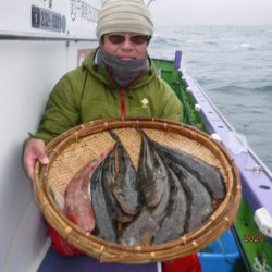 川崎丸 釣果