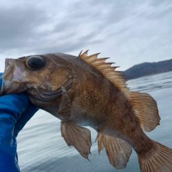 宝昌丸 釣果