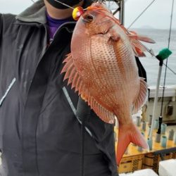 遊漁船　ニライカナイ 釣果