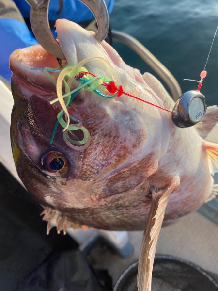 龍神丸（鹿児島） 釣果