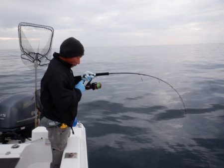 開進丸 釣果