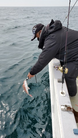 遊漁船　ニライカナイ 釣果