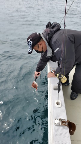 遊漁船　ニライカナイ 釣果