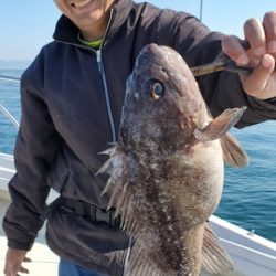 遊漁船　ニライカナイ 釣果