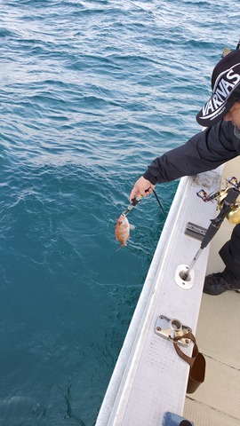 遊漁船　ニライカナイ 釣果