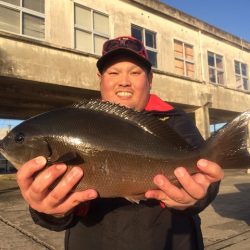 海星丸 釣果