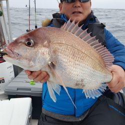 海峰 釣果