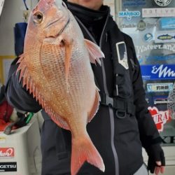 遊漁船　ニライカナイ 釣果