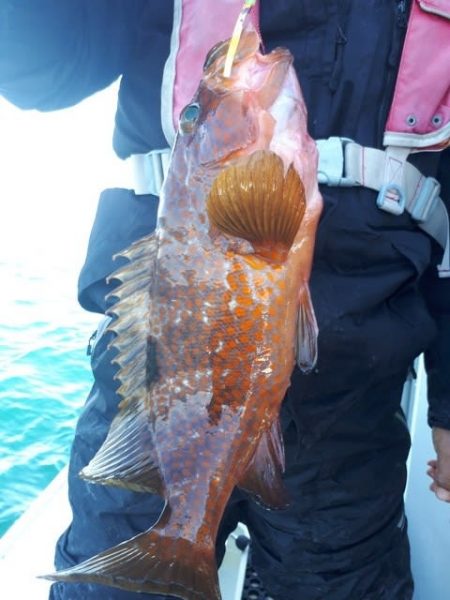 珠理丸 釣果